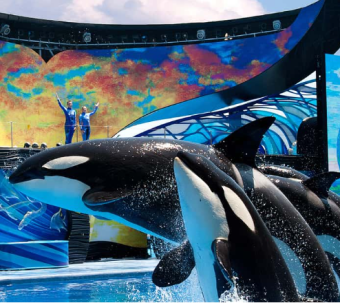 SeaWorld Orlando