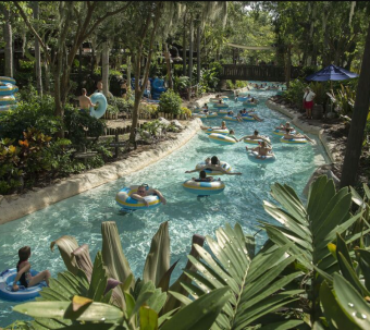 Typhoon Lagoon Disney